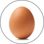 Brown Eggs